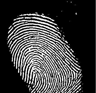 fingerprints2